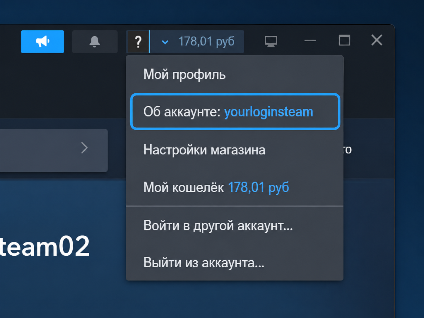 Расположение логина Steam в строке «Об аккаунте»